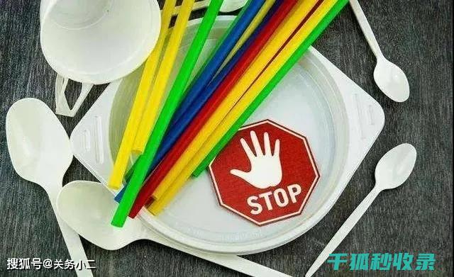 减少塑料使用：用行动书写绿色故事 (减少塑料使用的英文)