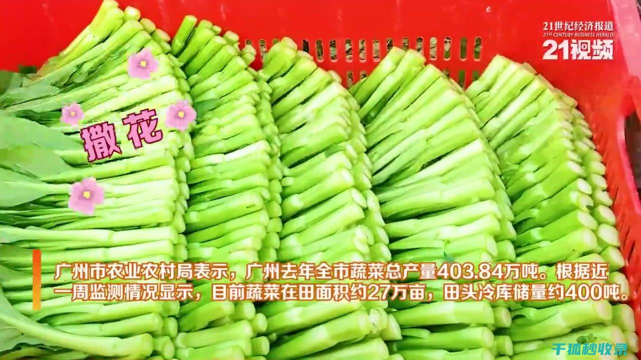 90个蔬菜保鲜延长的实用招式 (一般蔬菜保质期是多久)