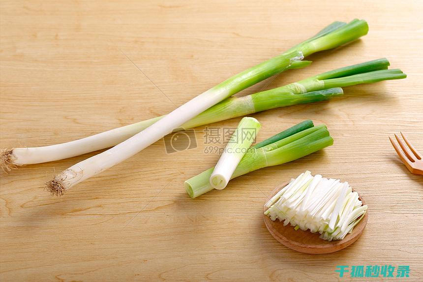 大葱保存方法：教你如何保存大葱更久 (大葱保存方法三年)