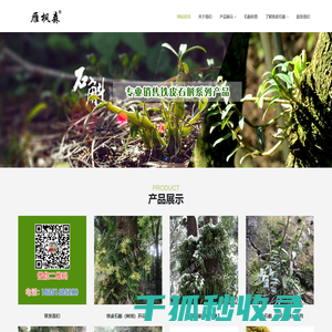 昆山雁枫森铁皮石斛
