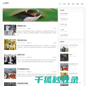汽车密封垫圈