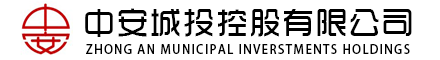 中安城投控股